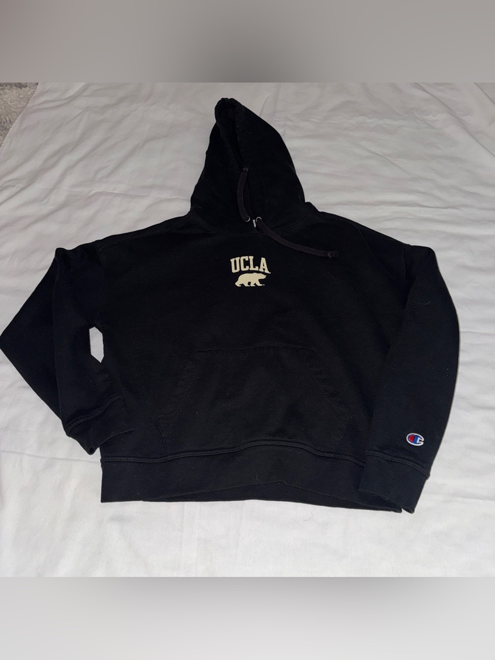 Champion Black Hooded Sweatshirt